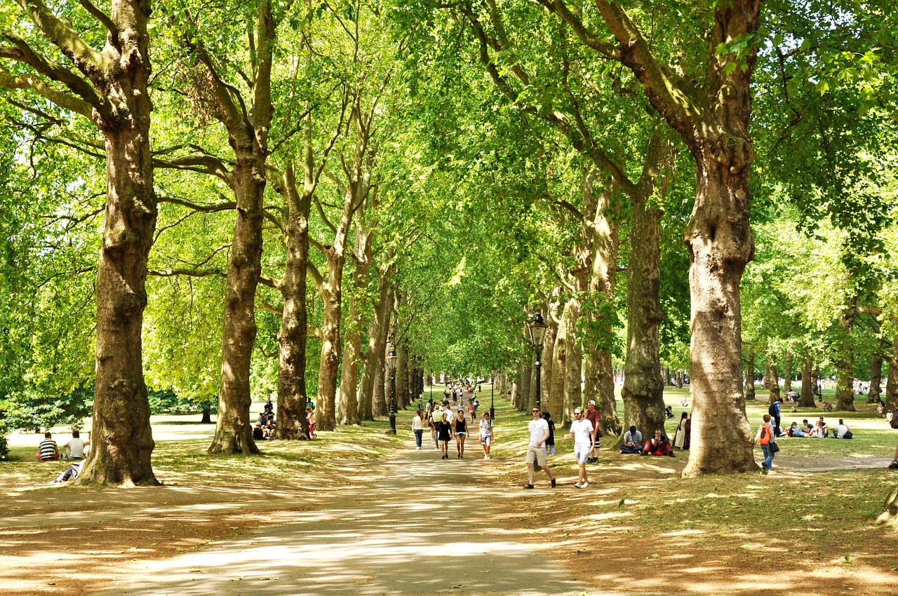  People walking along a path in a park surrounded by lush trees and green grass